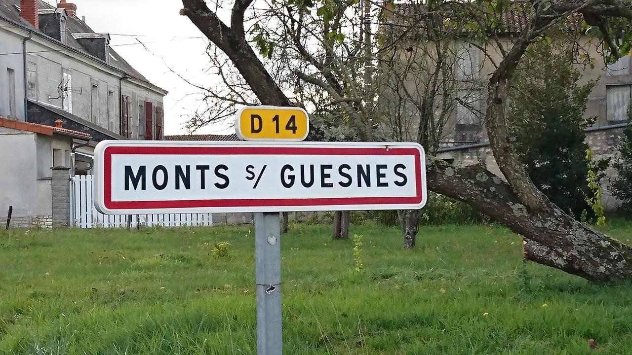Вілла L'Olivier Monts-sur-Guesnes Екстер'єр фото