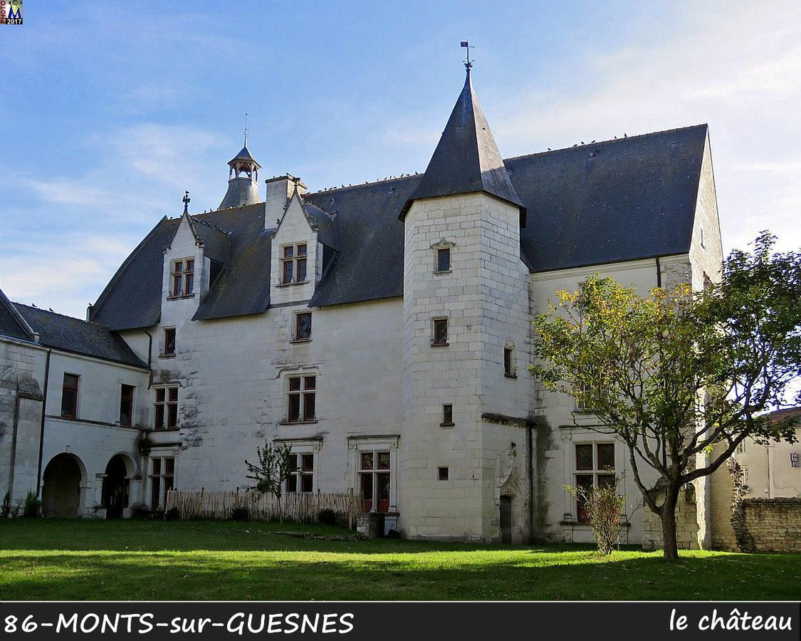 Вілла L'Olivier Monts-sur-Guesnes Екстер'єр фото